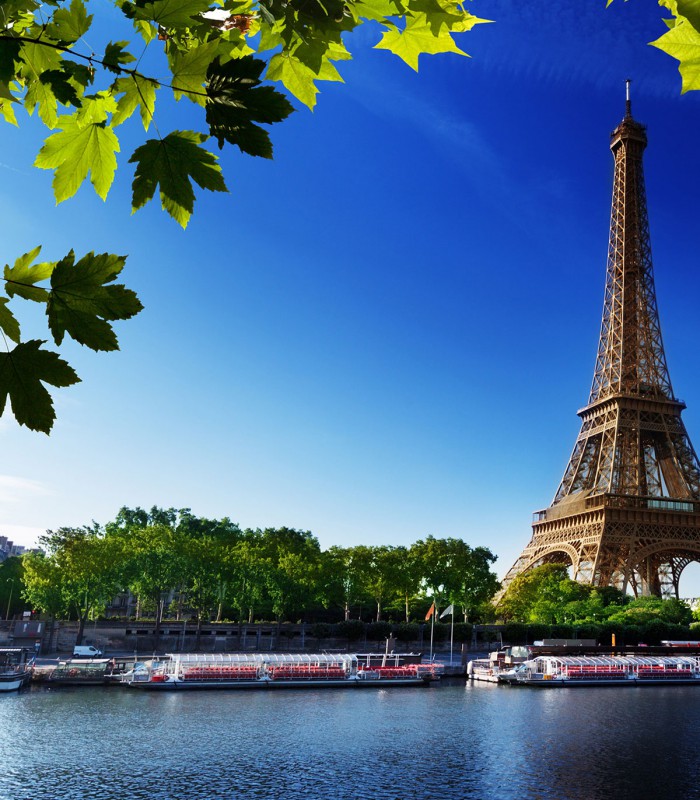 Paris 8h Sightseeing Private Tour