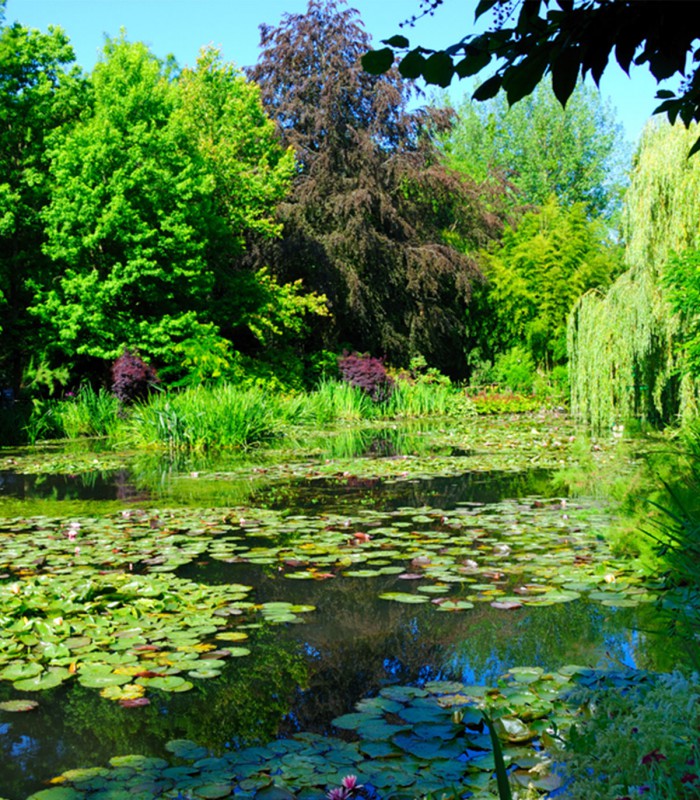 Giverny Monet's Garden Full Day Tour
