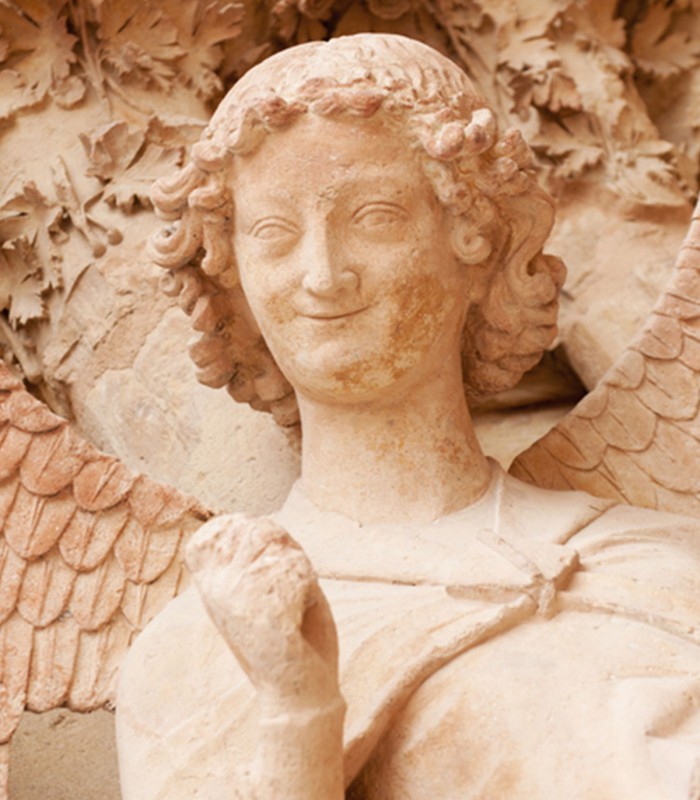 Champagne Day Trip from Paris