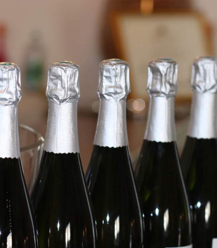 Champagne Day Trip from Paris