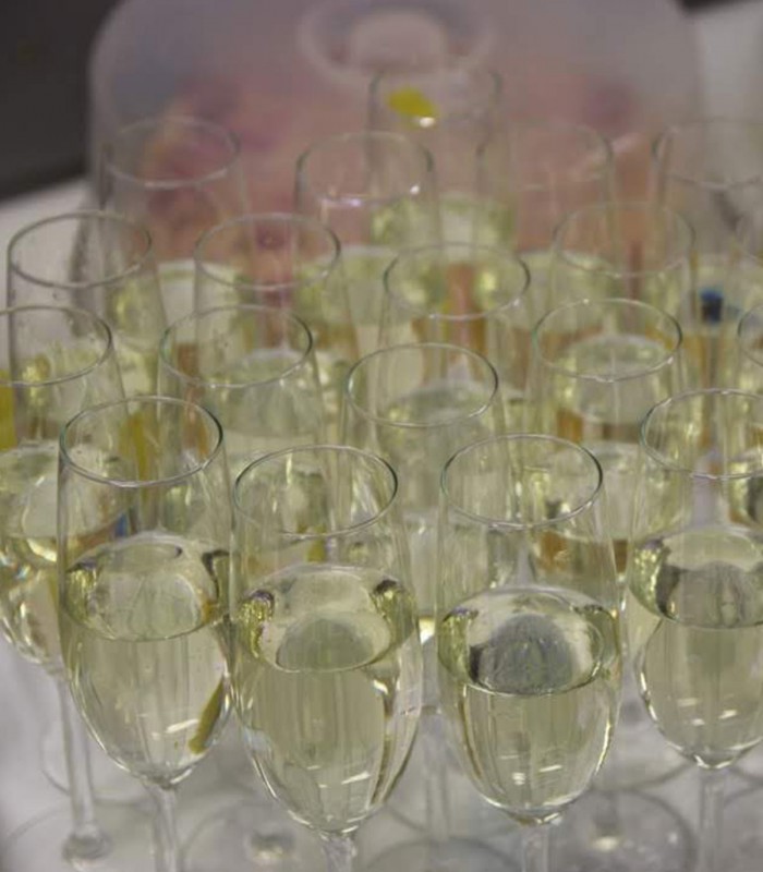 Champagne Tour from Paris