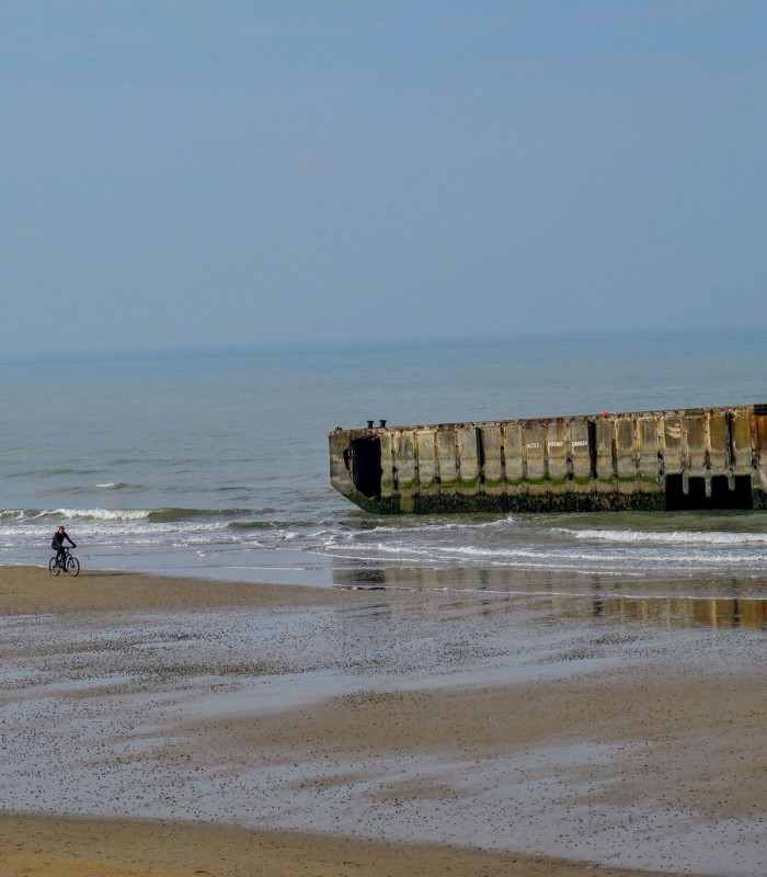 D-Day Tours from Paris
