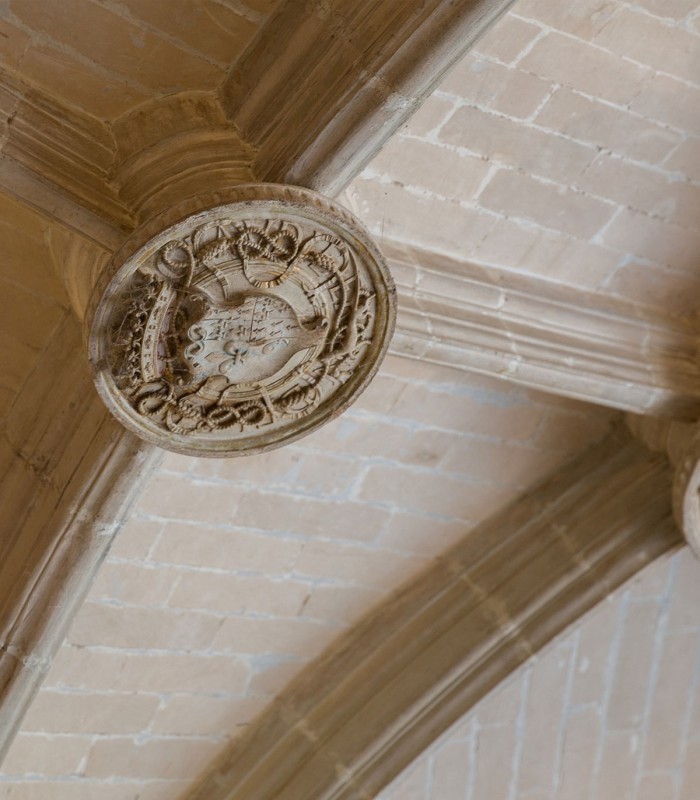 Loire Valley Tours Castles in 2 Days