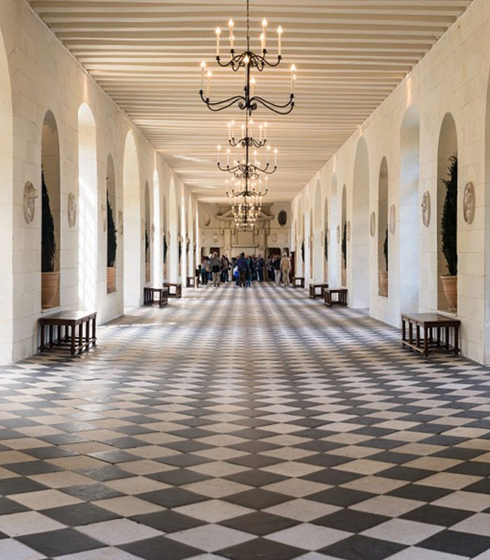 Loire Valley Tours Castles in 2 Days
