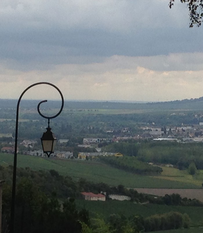 Private Champagne tours with driver-guides