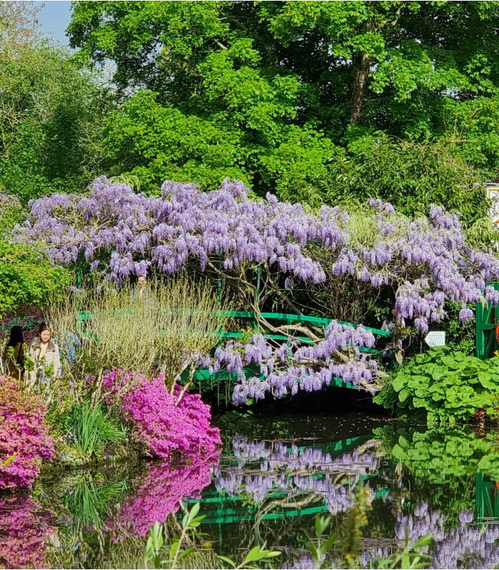 Giverny Half-Day Private Tour – Monet’s Gardens from Paris