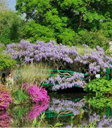 Giverny Half-Day Private Tour – Monet’s Gardens from Paris