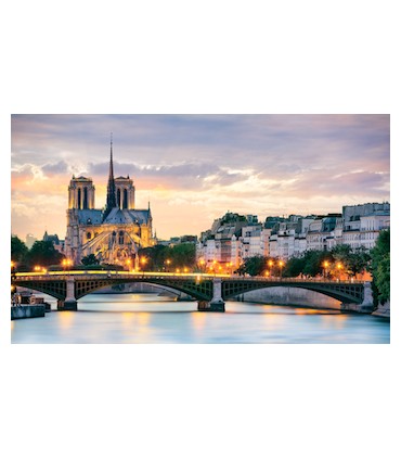 Paris 4h morning walking tour Notre Dame