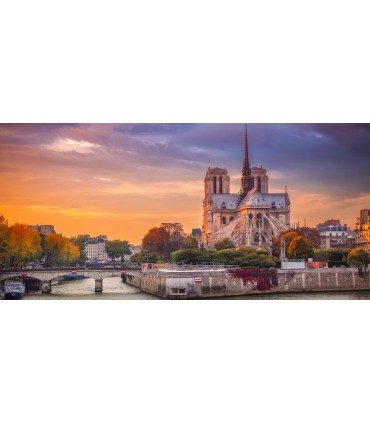 Paris 10h tour with driver and guide